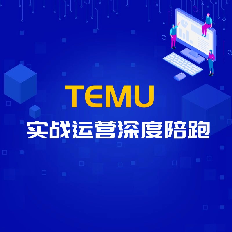 TEMU爆单陪跑，小白到大卖的实战拆解